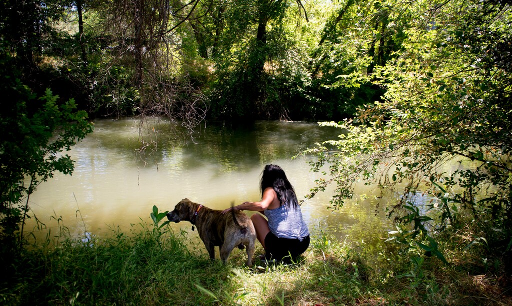 (Jeremy Harmon | The Salt Lake Tribune) Teja Trujillo, along with her biological son Keith Fulcher's dog Priest Holmes, take a moment along the Jordan River where Fulcher's body was found on June 13, 2019.