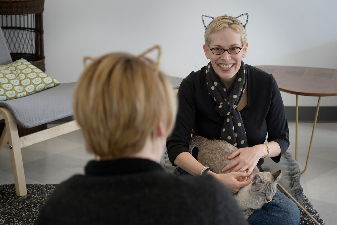 (Scott Sommerdorf   |  The Salt Lake Tribune)   Melissa Davis, left and Jackie Rogers play with cats at Tinker’s Cat Cafe on 900 South in Salt Lake City on Thursday, Nov. 2, 2017.