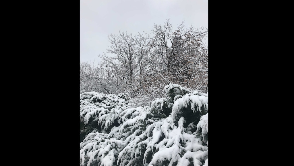 (Kolbie Peterson | The Salt Lake Tribune) A storm brought about 3 inches of snow to Salt Lake City, photographed Sunday, Jan. 24, 2021.