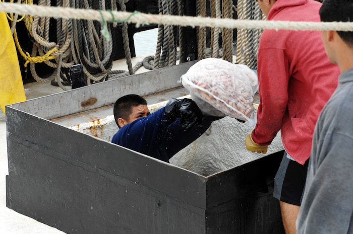 (Miguel Roberts | The Brownsville Herald) Fresh Texas Gulf shrimp is removed from the bottom of a shrimp boat as shrimp crews dock at the Brownsville Shrimp Basin to wait out Hurricane Harvey as Harvey approaches the Texas coast Thursday, Aug. 24, 2017.The National Hurricane Center said Thursday afternoon that Harvey is expected to become a major hurricane by Friday before it reaches the middle Texas coast.