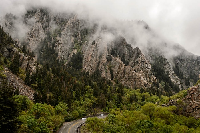(Trent Nelson | The Salt Lake Tribune)
A misty afternoon near Storm Mountain in Big Cottonwood Canyon, Friday May 11, 2018.