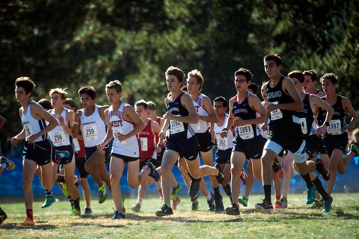 (Chris Detrick  |  The Salt Lake Tribune)  Runners compete during the 5A boy's state cross-country meet at Sugar House Park and Highland High School Wednesday, October 18, 2017. 
