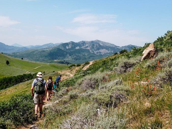 (Erin Alberty|The Salt Lake Tribune) The Ontario Trail winds down the mountains from the top of the Sterling Express lift to Bald Mountain at Deer Creek Resort. Photo taken Aug. 6, 2017.