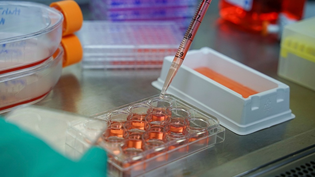 (Photo Courtesy of Utah State University) Researchers at USU's Institute for Antiviral Research’s biosafety level 3 laboratory worked on testing antiviral compounds and licensed drugs for their effectiveness against COVID-19 in this 2020 photo. 