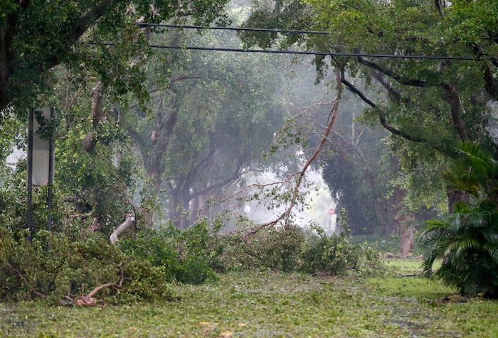(AP Photo/Wilfredo Lee) Debris fills the tree-lined streets of a residential area, Sunday, Sept. 10, 2017, in Coral Gables, Fla.