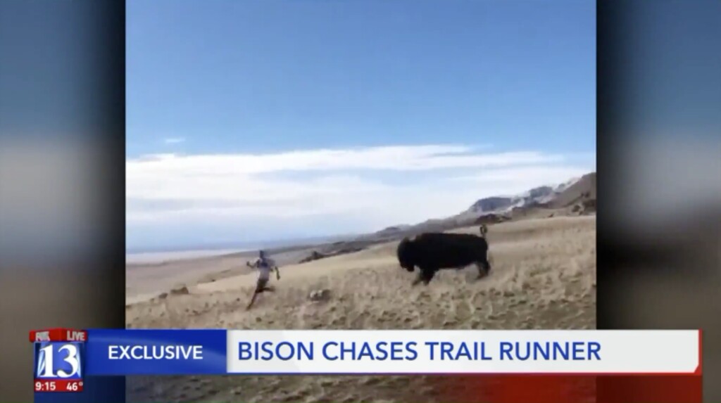 Michael McKnight runs away from a charging bison on Antelope Island, March 1, 2019. (FOX 13)