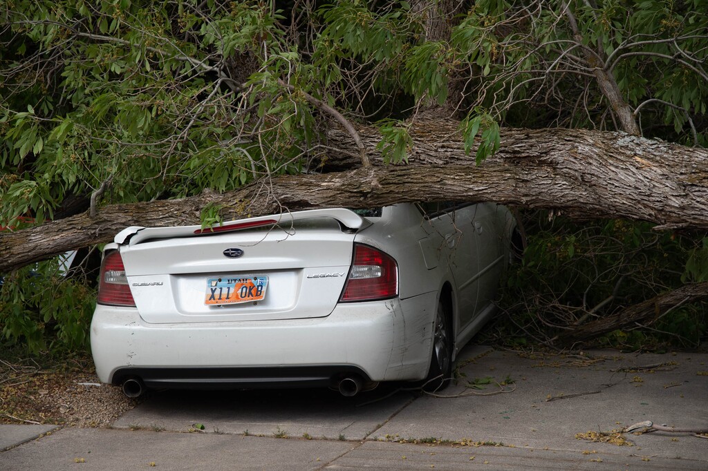 (Francisco Kjolseth | Tribune file photo) Hurricane-force winds caused extensive damage in Salt Lake City on Tuesday, Sept. 8, 2020, near 1200 E. 600 South. President Donald Trump has named parts of the state a disaster area, triggering federal assistance.