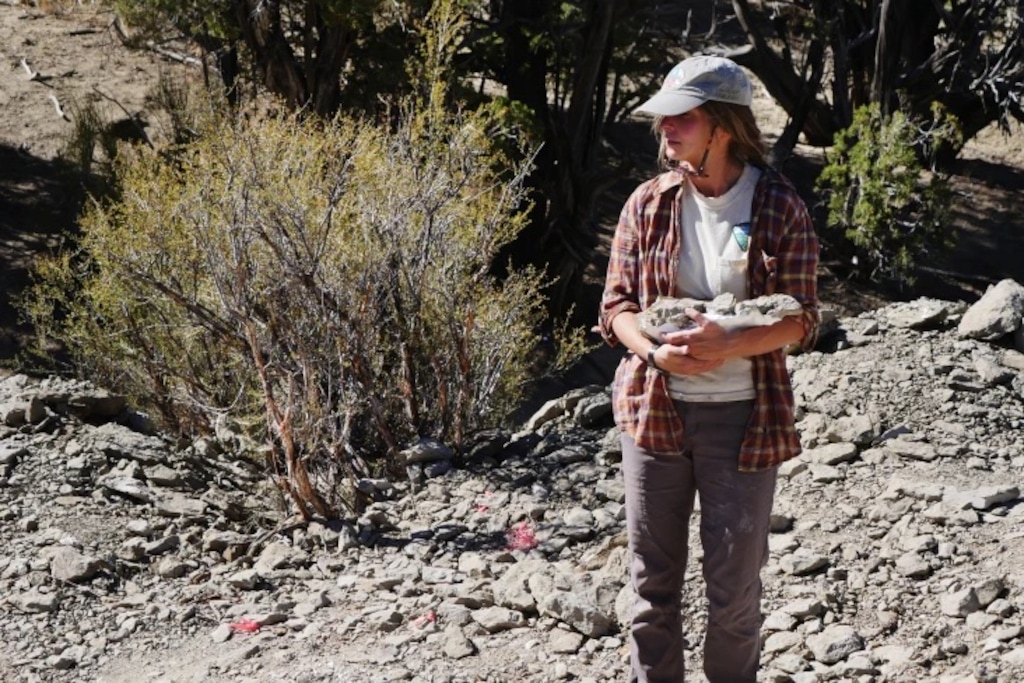 (Courtesy of Christian Venhuizen | Bureau of Land Management) Katja Knoll, a paleontology technician, recovers fossils from an excavation site inside Grand Staircase-Escalante National Monument in 2020.