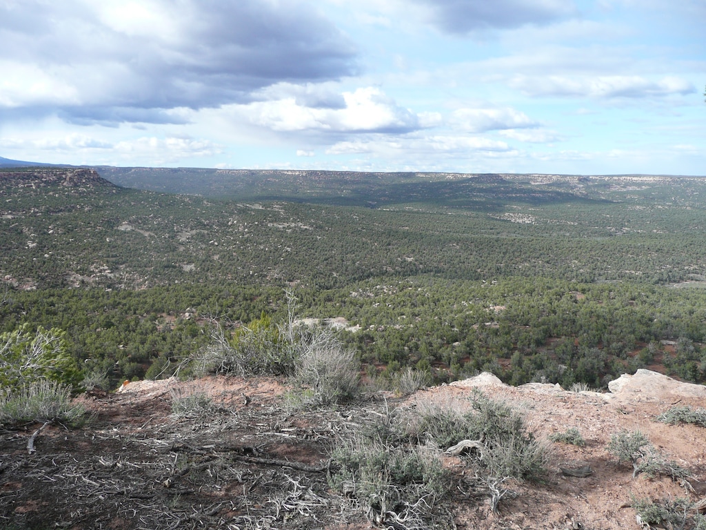 Courtesy | National Trust for Historic Preservation
The view from Alkali Ridge, a national historic landmark rich in Puebloan archaeology in San Juan County. The BLM is leasing land here east of Blanding for oil and gas development, despite objections from American Indian tribes and historic preservationists.