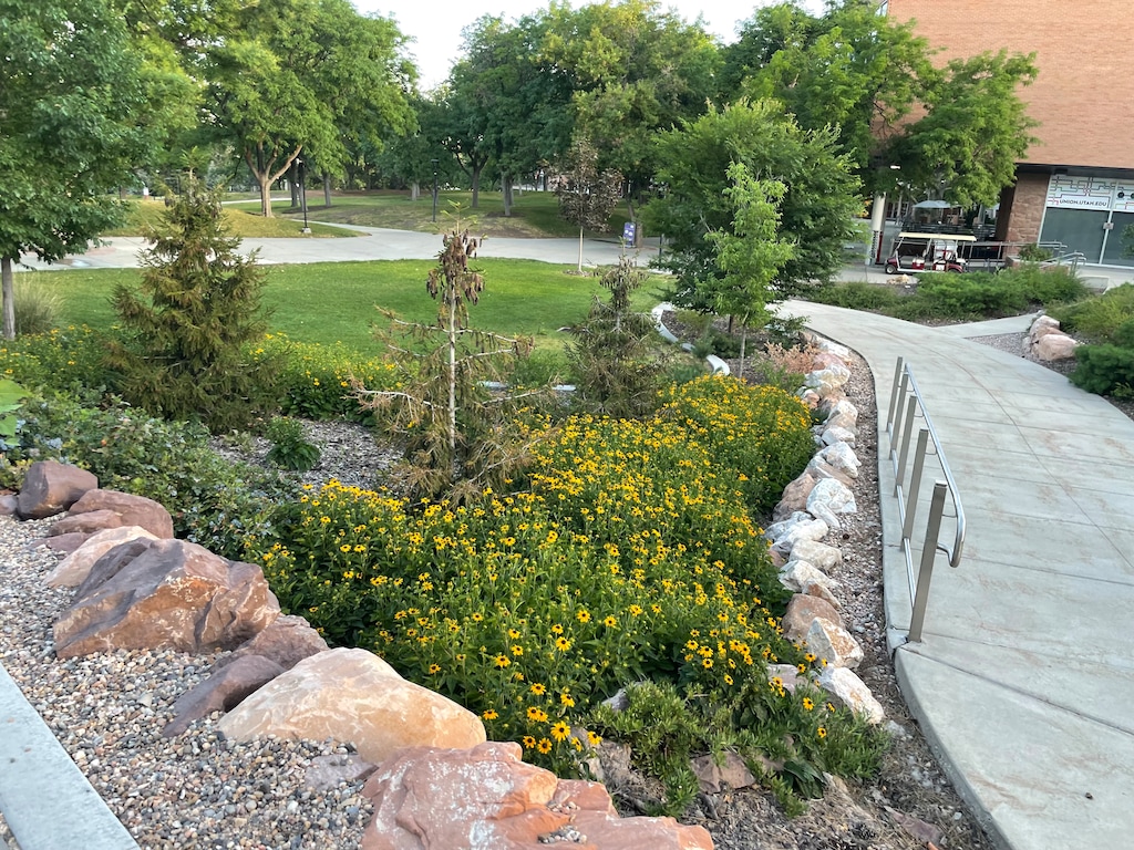 (Ali McKelvy  |  University of Utah) Flowers and small trees in a cluster of rocks help limit the amount of water needed in the lower campus at the University of Utah, part of a campus-wide effort to reduce water use.