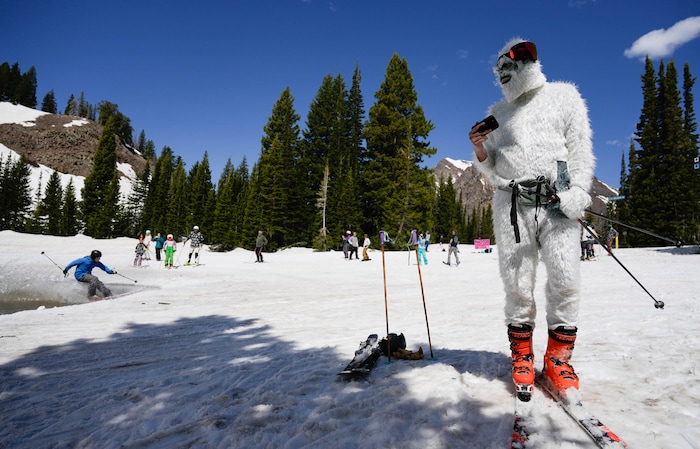 (Francisco Kjolseth  | The Salt Lake Tribune) Jared Cannon dons the Yeti outfit as Snowbird closes the book on the 2024-25 ski season on Monday, May 26, 2025. Snow and sun revelers took to the slushy slopes on Memorial Day as the resort was the last in the state to close.