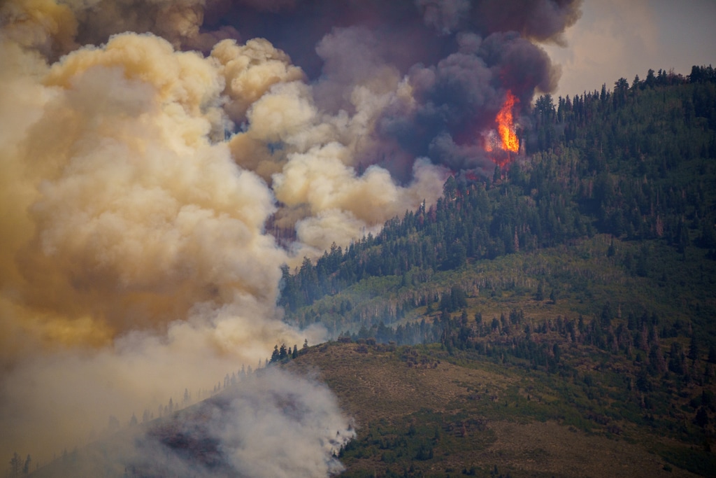 (Trent Nelson | The Salt Lake Tribune) The Parleys Canyon Fire burns, as seen from Emigration Canyon on Saturday, Aug. 14, 2021.