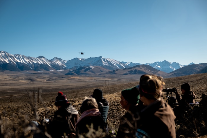(Hilary Swift | The New York Times) A helicopter with the Bureau of Land Management rounds up wild horses in Challis, Idaho, Nov. 6, 2019. With too many animals on public lands and too many on the public's hands, the federal wild horse management program is short of money or palatable solutions.