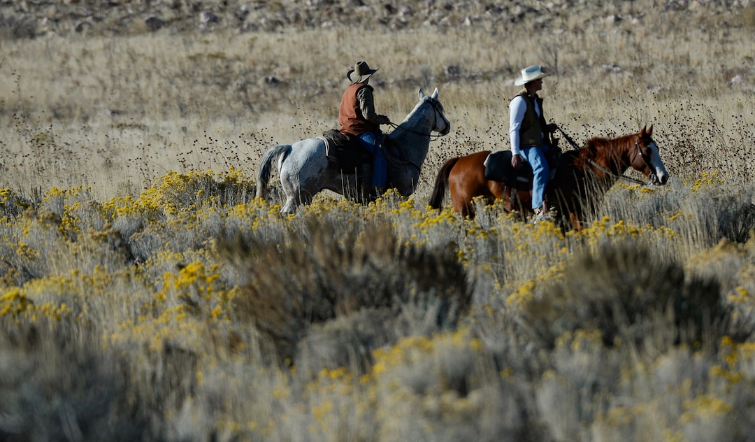 (Francisco Kjolseth  |  The Salt Lake Tribune)  Riders on horseback herd bison during the 33rd annual roundup, Saturday, Oct. 26, 2019, on Antelope Island, a state park located near Syracuse in Davis County. Every year Utah wildlife and parks officials move the animals from across the island so they can be weighed, tagged and given health screenings.