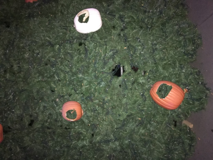 (Photo courtesy of Utah's Hogle Zoo) Carved reusable pumpkins were broken at Utah's Hogle Zoo on Saturday, Oct. 17, 2020, after members of the Sigma Chi fraternity at the University of Utah visited the BooLights exhibit.