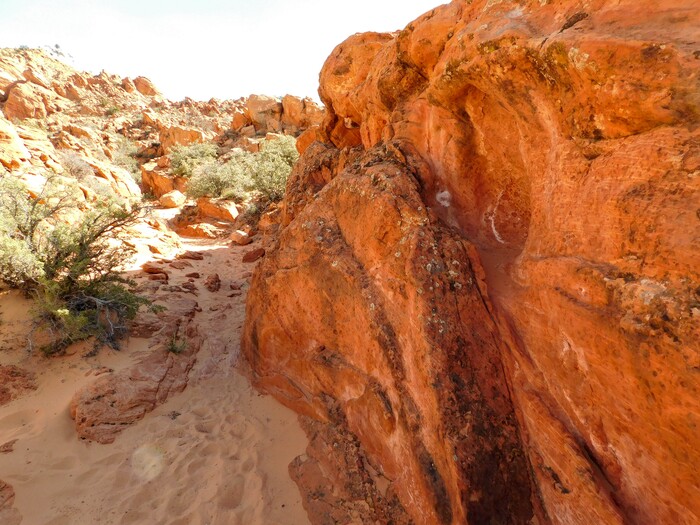 Erin Alberty  |  The Salt Lake TribuneThe sandy Babylon Arch trail passes by orange rock walls March 12, 2017 in the Red Cliffs Desert Reserve near Leeds.