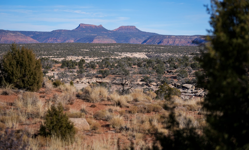 (Bethany Baker  |  The Salt Lake Tribune) The Bears Ears buttes inside Bears Ears National Monument near Blanding on Wednesday, Dec. 18, 2024.