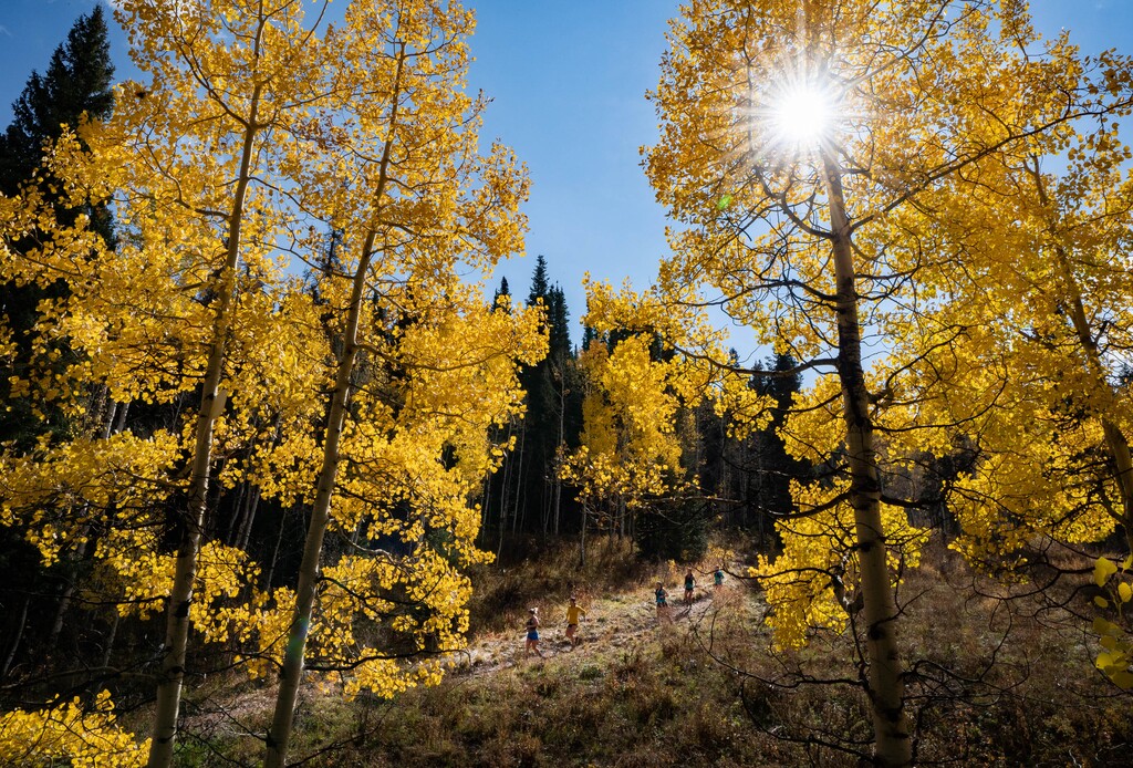 (Francisco Kjolseth | The Salt Lake Tribune) Trail runners descend Little Water Trail as trees explode with color at the top of Millcreek Canyon.
