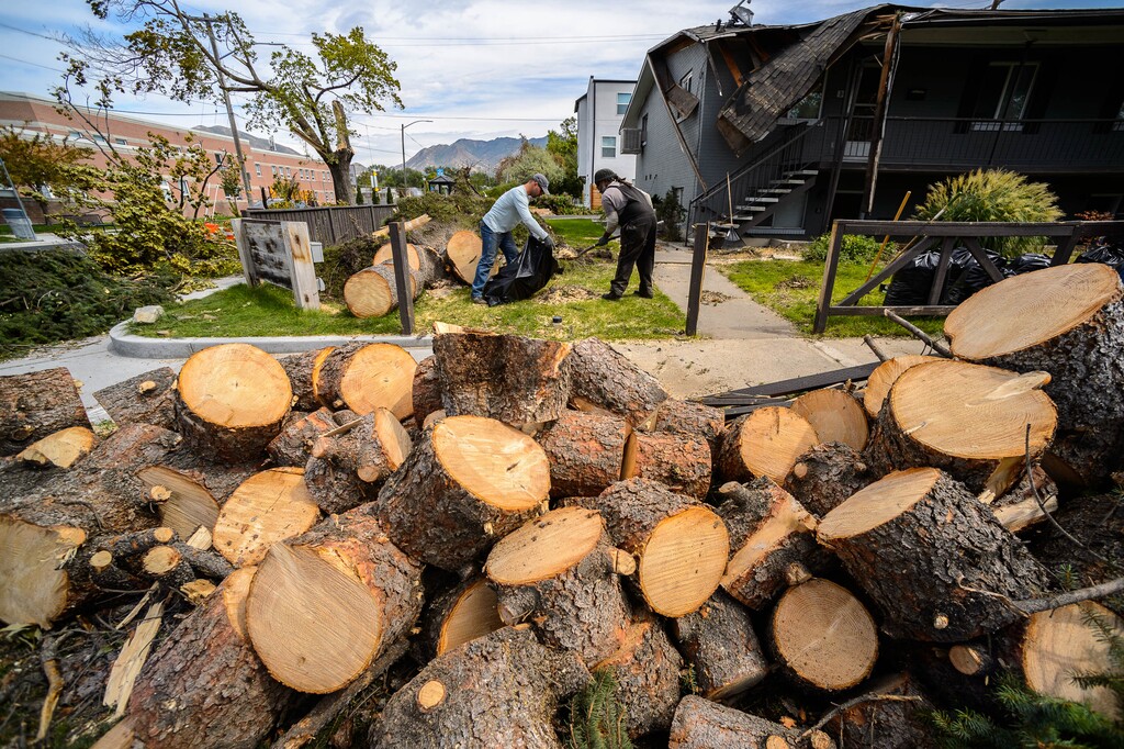 (Trent Nelson  |  The Salt Lake Tribune) Workers clean up debris at 1700 South 600 East after trees were downed by Tuesday's high winds, in Salt Lake City on Wednesday, Sept. 9, 2020.