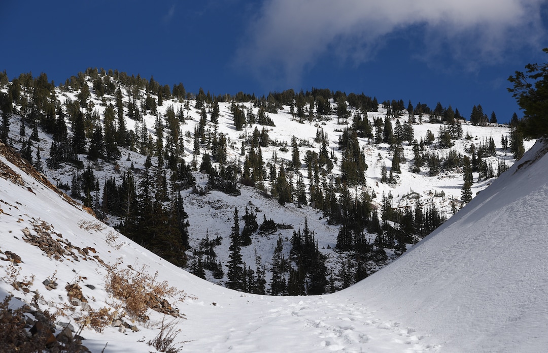 (Francisco Kjolseth  |  The Salt Lake Tribune)  Tailings from an old mine frame the upper basin of Grizzly Gulch on the other side of the road from Alta Ski Resort on Monday, Nov. 5, 2018. Alta Ski Area will not be included in the proposed Central Wasatch National Conservation and Recreation Area.