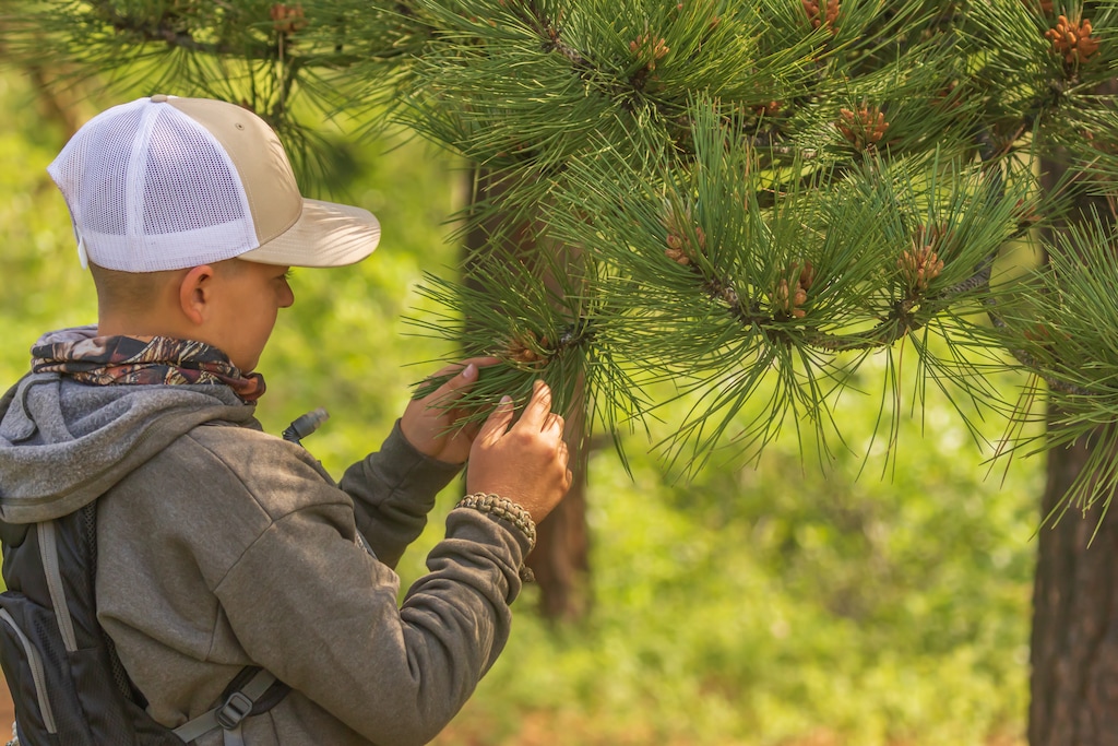 (Adobe Stock | University of Utah, sponsored) Fun ways to keep your children's minds active this summer.