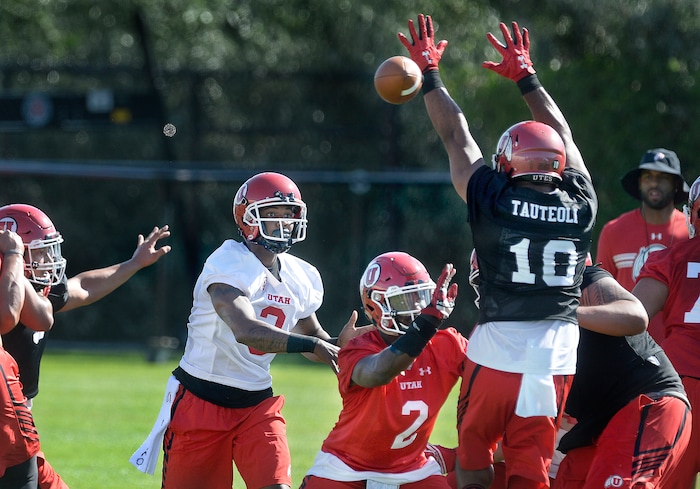 Scott Sommerdorf   |  The Salt Lake Tribune  
Utah LB Sunia Tauteoli deflects a Troy Williams pass during the first day of Utah fall football camp, Friday, July 28, 2017.  