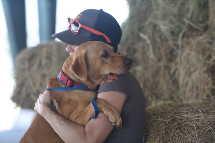 Best Friends Animal Society staff members and volunteers help rescue and reunite pets with people in the aftermath of Hurricane Harvey. Courtesy | Best Friends Animal Society.