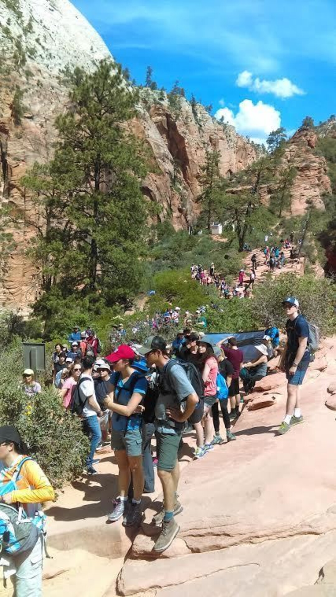 In this May 28, 2016 photo, provided by Zion National Park people line up at Angels Landing in Zion National Park, Utah. The sweeping red-rock vistas at Zion National Park are increasingly filled with a bumper crop of visitors, and now park managers are weighing an unusual step to stem the tide: : Requiring tourists to make RSVPs to get in.   (Zion National Park via AP)