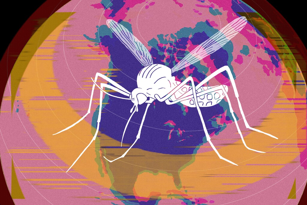 ( Lydia Zuraw | KHN) The rise in temperatures across the world is providing a perfect environment for mosquitoes and their subsequent diseases to thrive.