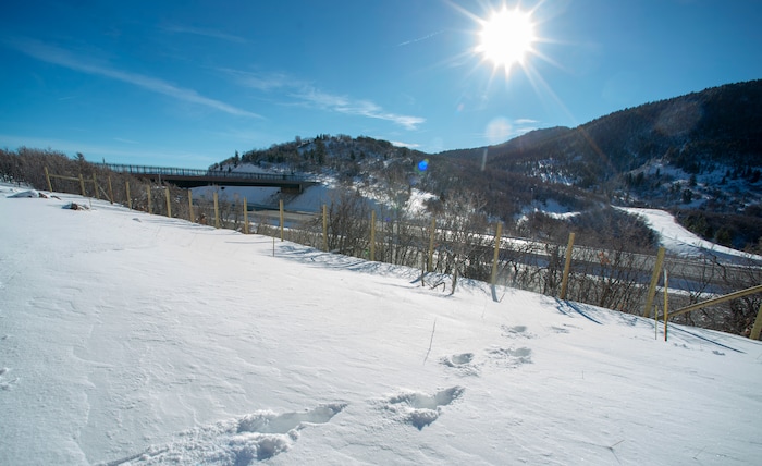(Rick Egan  |  The Salt Lake Tribune)     Moose tracks near the new overpass for wildlife at the summit of Parleys Canyon crosses I-80 near Exit 140.  Wednesday, Dec. 12, 2018.



