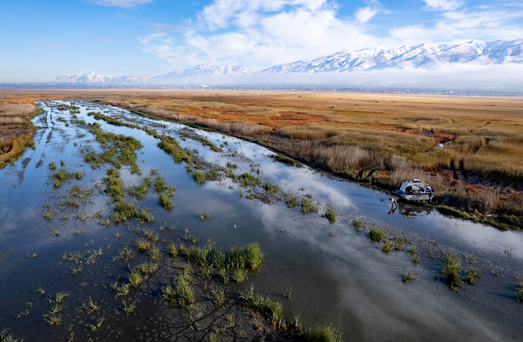 (Francisco Kjolseth | The Salt Lake Tribune) Hydrologists place groundwater monitoring devices near an amphibious vehicle at Farmington Bay in a channel widen for treated discharge from the Central Davis Sewer District plant, pictured Thursday, Nov. 2, 2022. Treated effluent is some of the only water guaranteed to flow to the shrinking lake, but cities are eyeing it for reuse.