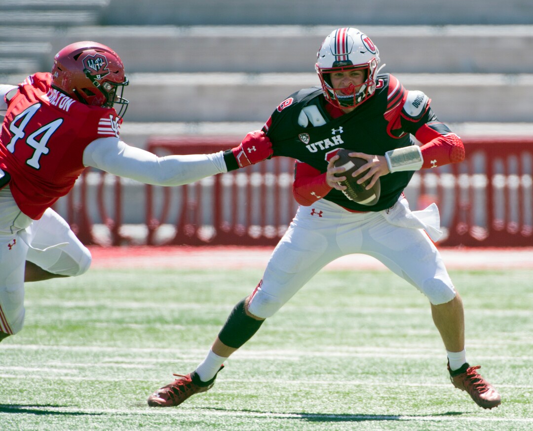 (Ed Kosmicki | Special to The Tribune) The black team QB  Peter Costelli #8 feels the pressure and grip of red team defensive end Xavier Carlton #44 during the annual spring football game at the University of Utah, 17 April 2021.