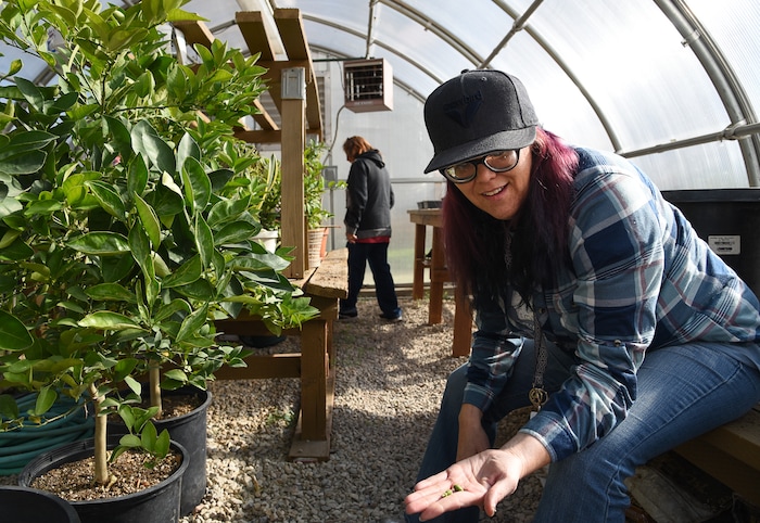 (Francisco Kjolseth  |  The Salt Lake Tribune)  Jenn Harris, a former recovery resident at the Center for Women and Children in Murray, loves volunteering her time now at the Freedom Garden across the street where residents can learn how to grow fruits and vegetables and make strides towards rehabilitation. The garden has been a place of healing and also acts as a memorial for those who have passed in their battle with substance abuse with stones bearing their names in the garden. 