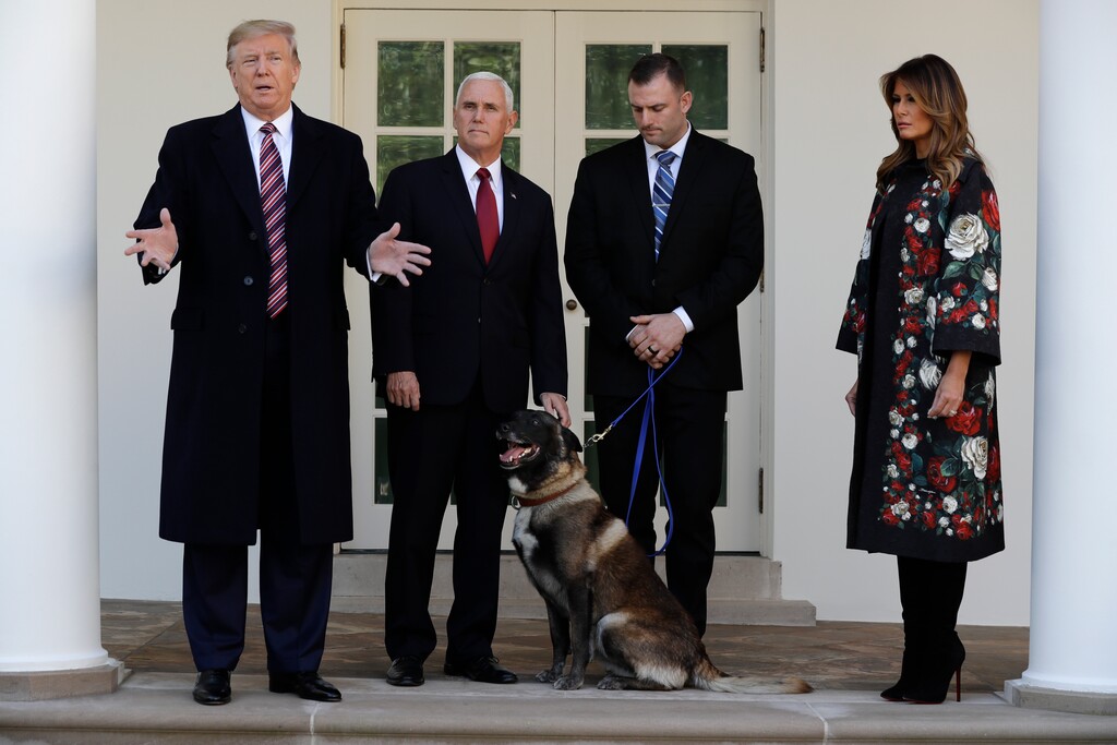 (Evan Vucci | AP) President Donald Trump, Vice President Mike Pence and first lady Melania Trump, present Conan, the military working dog injured in the successful operation targeting Islamic State leader Abu Bakr al-Baghdadi, before the media in the Rose Garden at the White House, Monday, Nov. 25, 2019 in Washington.