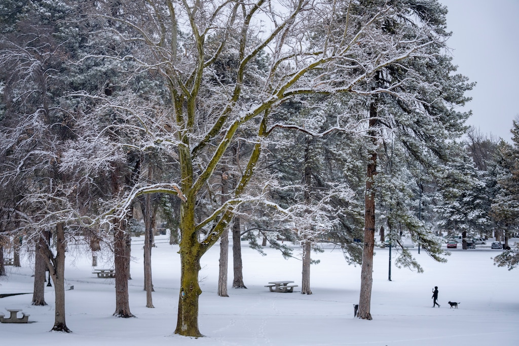 (Rick Egan | The Salt Lake Tribune) The first big winter storm of the year, as seen in in Liberty Park on Wednesday, Feb. 18, 2026.