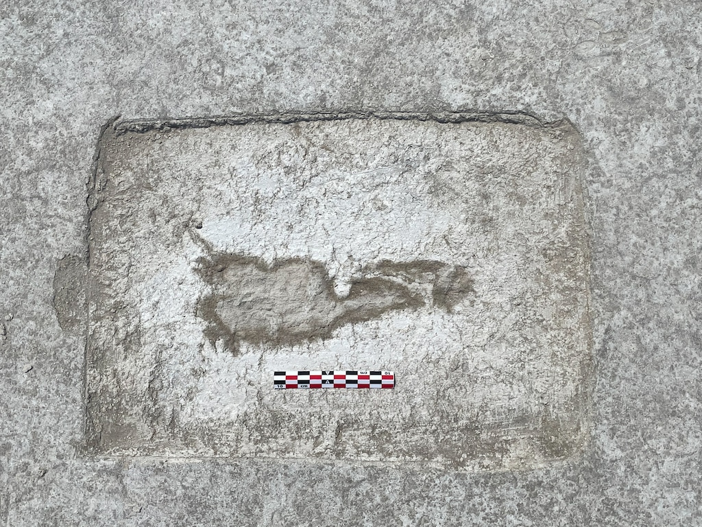 (Daron Duke) One of the 88 footprints discovered at the Utah Test and Training Range in the Great Salt Lake Desert this July. The footprints may date back to 12,000 years ago.