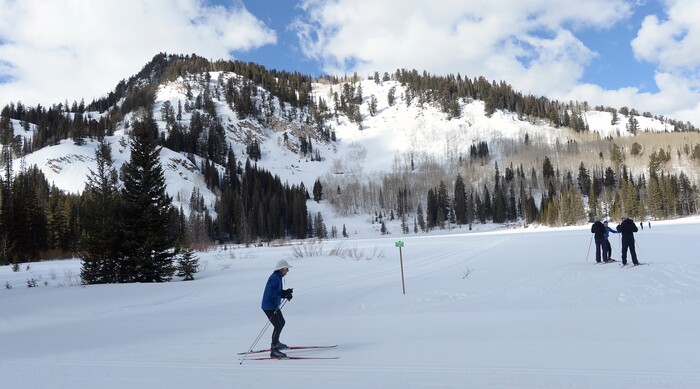 (Al Hartmann  |  The Salt Lake Tribune) 	
Cross country skiers take to good snow at Solitude Nordic Center and Silver Lake Recreation area in Big Cottonwood Canyon Monday March 12.