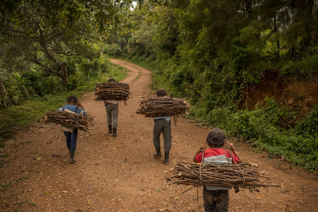 (Daniele Volpe | The New York Times) Children of Eduardo Roque, an indigenous farmer, carry firewood back to their home in the village of La Palmilla, in the Chiquimula region of Guatemala, July 23, 2020. Around the world, the poor and marginalized are much more likely to be vulnerable to extreme heat; in the past decade, five long and harsh late summer droughts have cursed this region known as the "Dry Corridor."