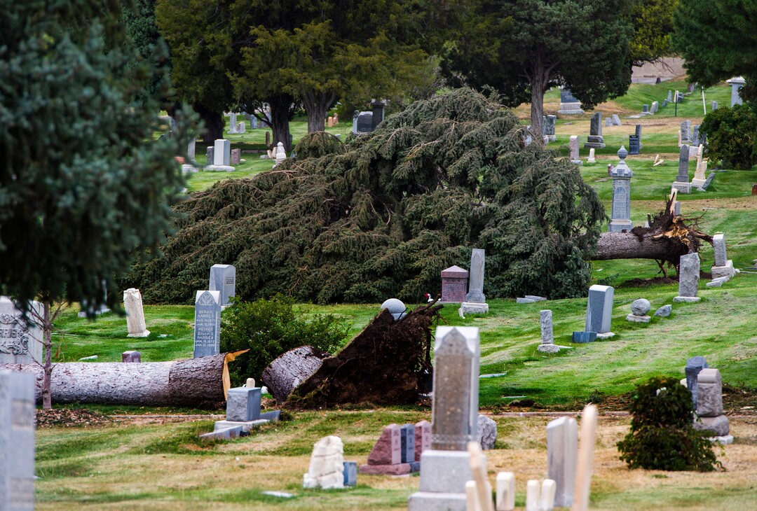(Rick Egan  |  The Salt Lake Tribune)    Hundreds of headstones in the Salt Lake City Cemetery were damages in the recent wind storm, Friday, Sept. 18, 2020.