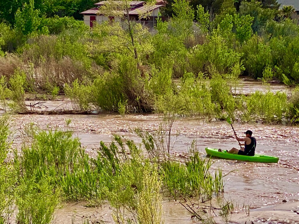 (Mark Eddington | The Salt Lake Tribune) A kayaker braves the high and fast-flowing  Virgin River in Bloomington Monday, May 1, 2023.