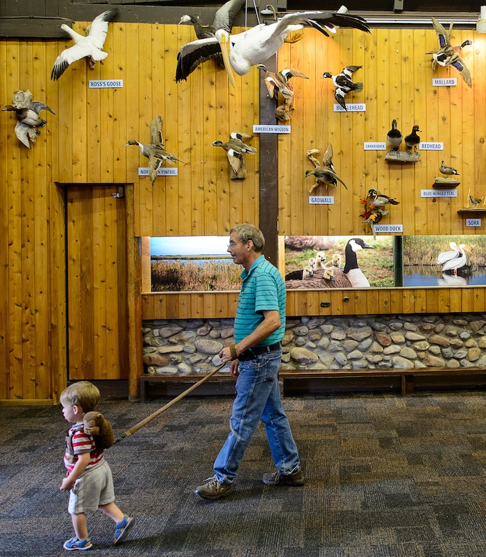 (Trent Nelson | The Salt Lake Tribune) Waterfowl on display in the Wildlife Building on opening day at the Utah State Fair in Salt Lake City, Thursday September 7, 2017.