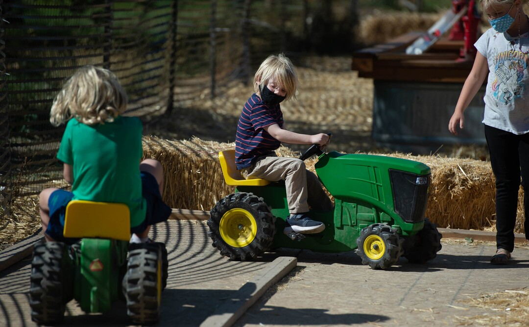(Francisco Kjolseth  |  The Salt Lake Tribune) Liam Frank, 4, center, joins friends and family at Wheeler Farm's annual Pumpkin Days celebration, billed as a ”Family-Friendly Not-so-Scary Halloween,” with a hay maze, pumpkin patch, children's train and games on Saturday, Oct. 10, 2020.