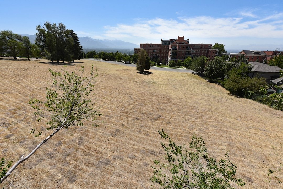 (Francisco Kjolseth  |  The Salt Lake Tribune) Ivory Homes, Utah's largest homebuilder, is seeking to develop the 3.1-acre plot of what is now open space and has applied for city permission to build 25 homes on the site — plus 20 so-called accessory dwelling units, or ADUs, also known as mother-in-law apartments for a total of 45 dwellings.  Some neighborhood residents are opposed to the idea and Ivory is now revising its plans.