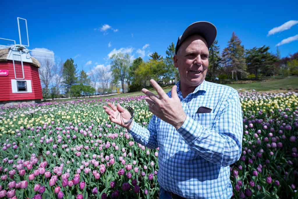 (Bethany Baker  |  The Salt Lake Tribune) Senior Director of Horticulture Tony Latimer discusses the work that goes into the Tulip Festival at Ashton Gardens in Lehi on Monday, April 21, 2025.