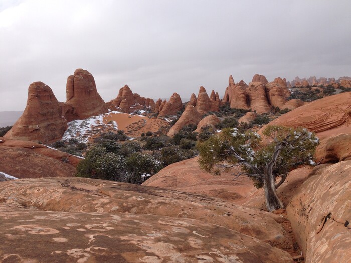 (Erin Alberty  |  The Salt Lake Tribune) 

Acres of rock formations fade into the distance from the Broken Arch Loop hike in Arches National Park.
