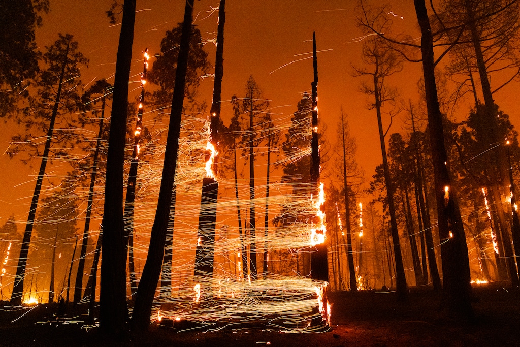 BC-OPINION-FRANK-WILDFIRE-START-ART-NYTSF— The Caldor fire burning in the Eldorado National Forest near Pollock Pines, California, in 2021. (Max Whittaker for The New York Times) — ONLY FOR USE WITH ARTICLE SLUGGED — BC-OPINION-FRANK-WILDFIRE-START-ART-NYTSF — OTHER USE PROHIBITED.