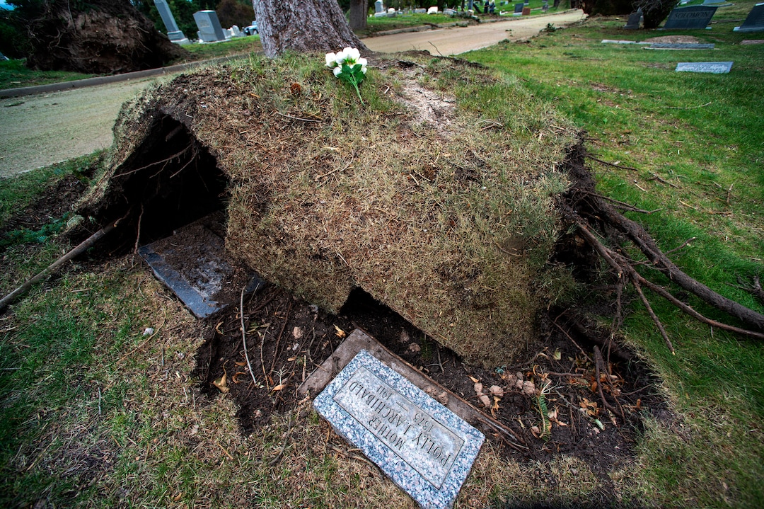 (Rick Egan  |  The Salt Lake Tribune)    Hundreds of headstones in the Salt Lake City Cemetery were damages in the recent wind storm, Friday, Sept. 18, 2020.