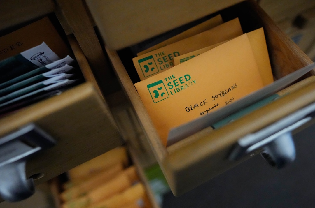 (Francisco Kjolseth | The Salt Lake Tribune) An old card catalogue cabinet proves to be the perfect thing to store packets of seeds as part of the seed library at the Central Library in Salt Lake City as seen on Saturday, April 16, 2022. 