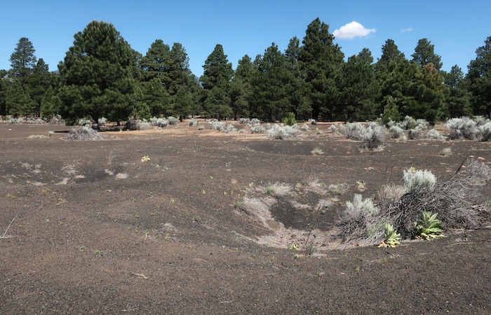 (Felicia Fonseca | AP) This June 28, 2019 photo shows a fenced-off field of craters in a volcanic cinder field east of Flagstaff, Ariz., that was used as a training site for astronauts who landed on the moon.