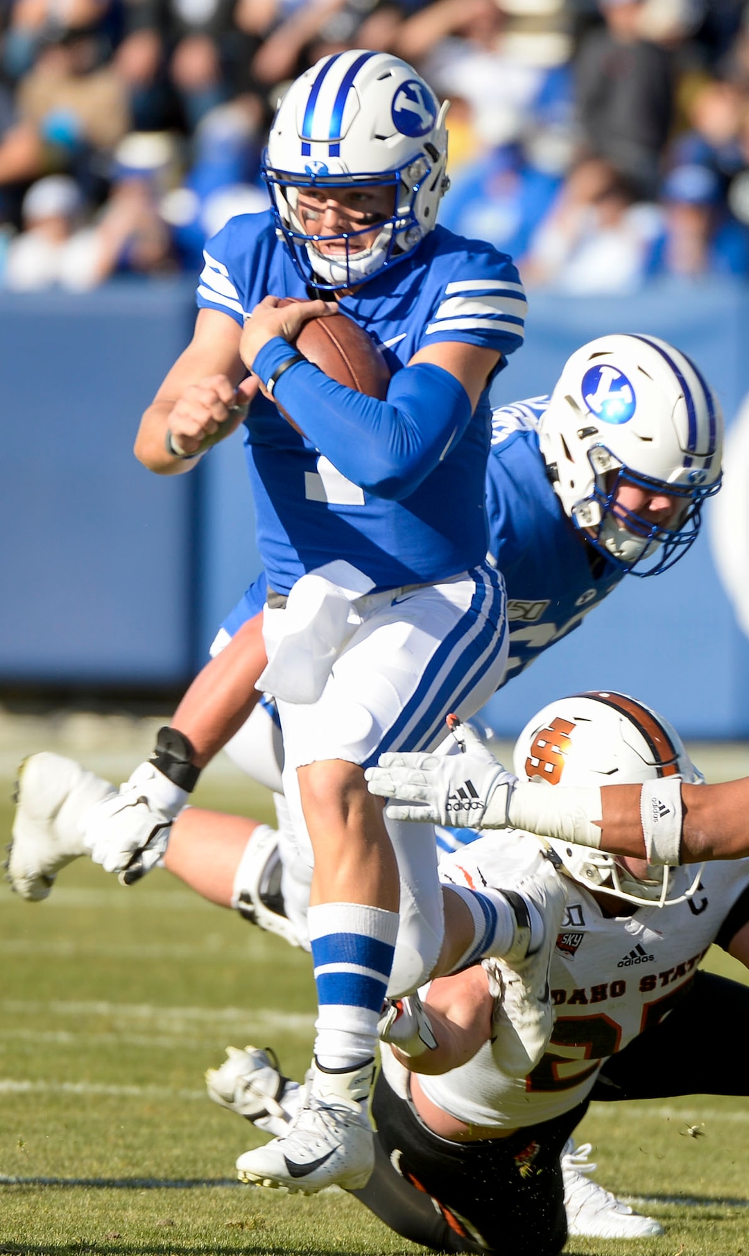 (Leah Hogsten  |  The Salt Lake Tribune) Brigham Young Cougars quarterback Zach Wilson (1) runs for a first down as Brigham Young University takes on Idaho State, Saturday, Nov. 16, 2019 at LaVell Edwards Stadium.